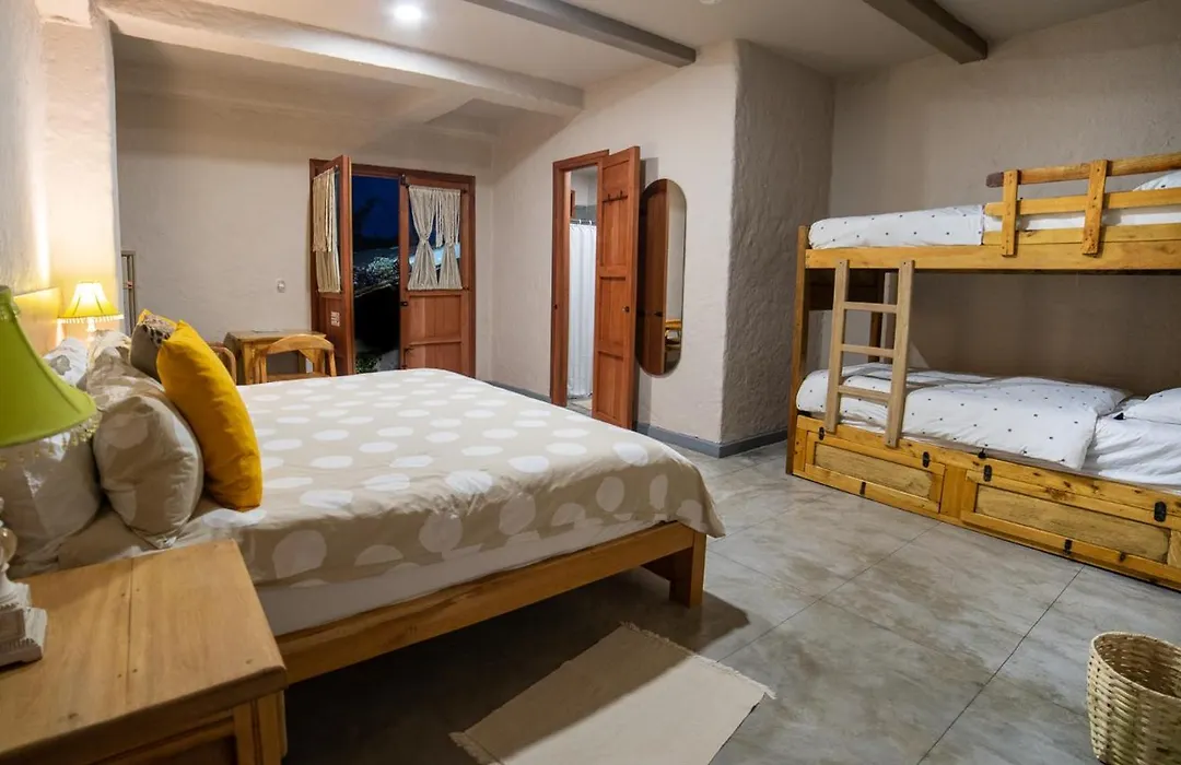 Coffee Tree Boutique Hostel-1
